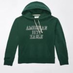 American 1977 Eagle Y2k Hoodie