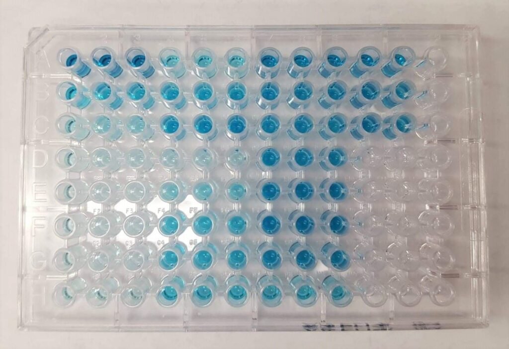 ELISA Immunoassays