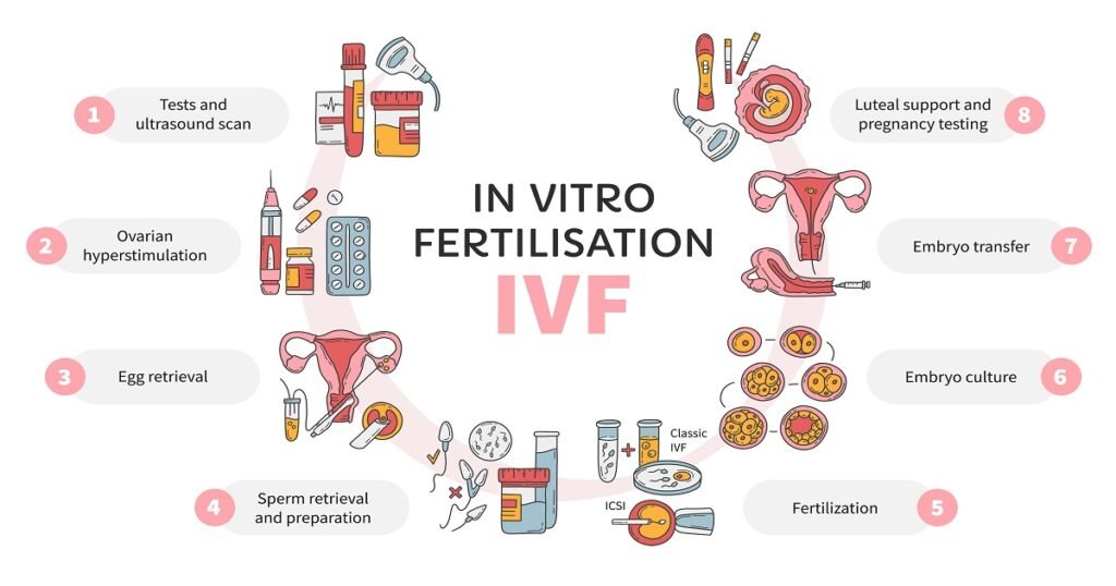 When Should I Consider In Vitro Fertilization