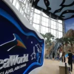 Experiences at SeaWorld Abu Dhabi