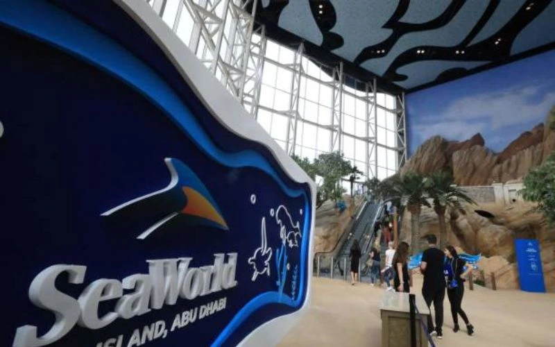 Experiences at SeaWorld Abu Dhabi